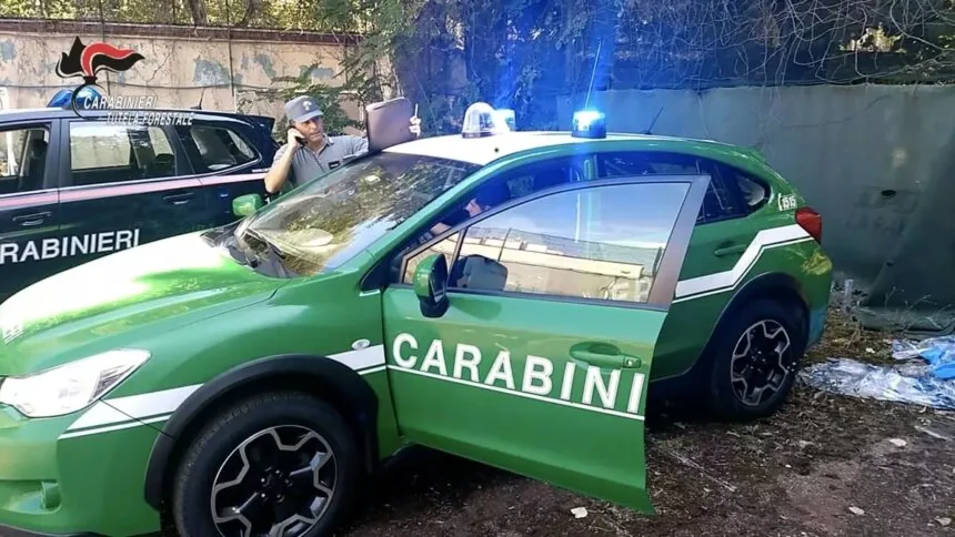 Carabinieri forestali 1