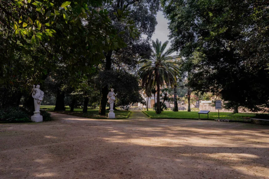 Alba alla Reggia Bosco Vecchio Casetlluccia