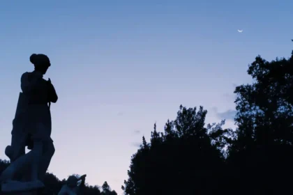 Alba alla Reggia Parco reale