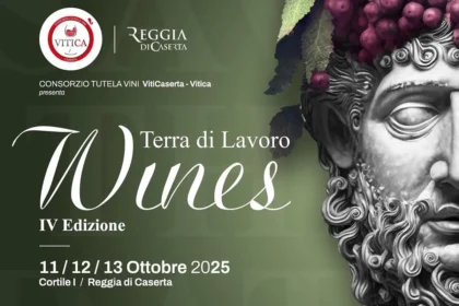 Terra di Lavoro Wines