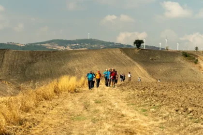 via Francigena