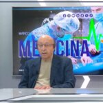 Moggi e1773829570713