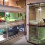 Screenshot 2026 03 26 091728