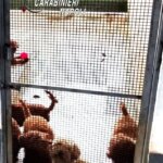 WhatsApp Image 2026 03 18 at 091919 e1773822046972