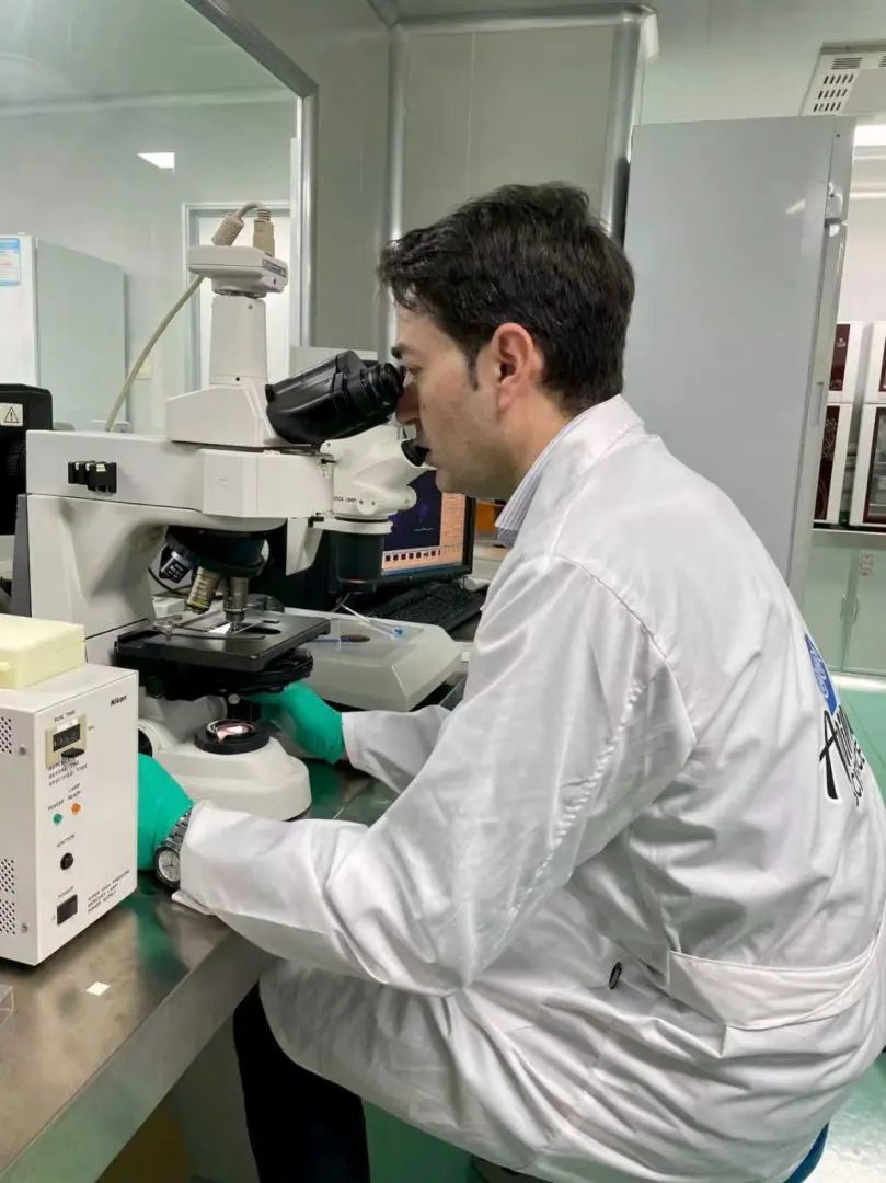 Allevamento dei bufali, la Cina auspica maggiore collaborazione con l’Italia 2 bufali2